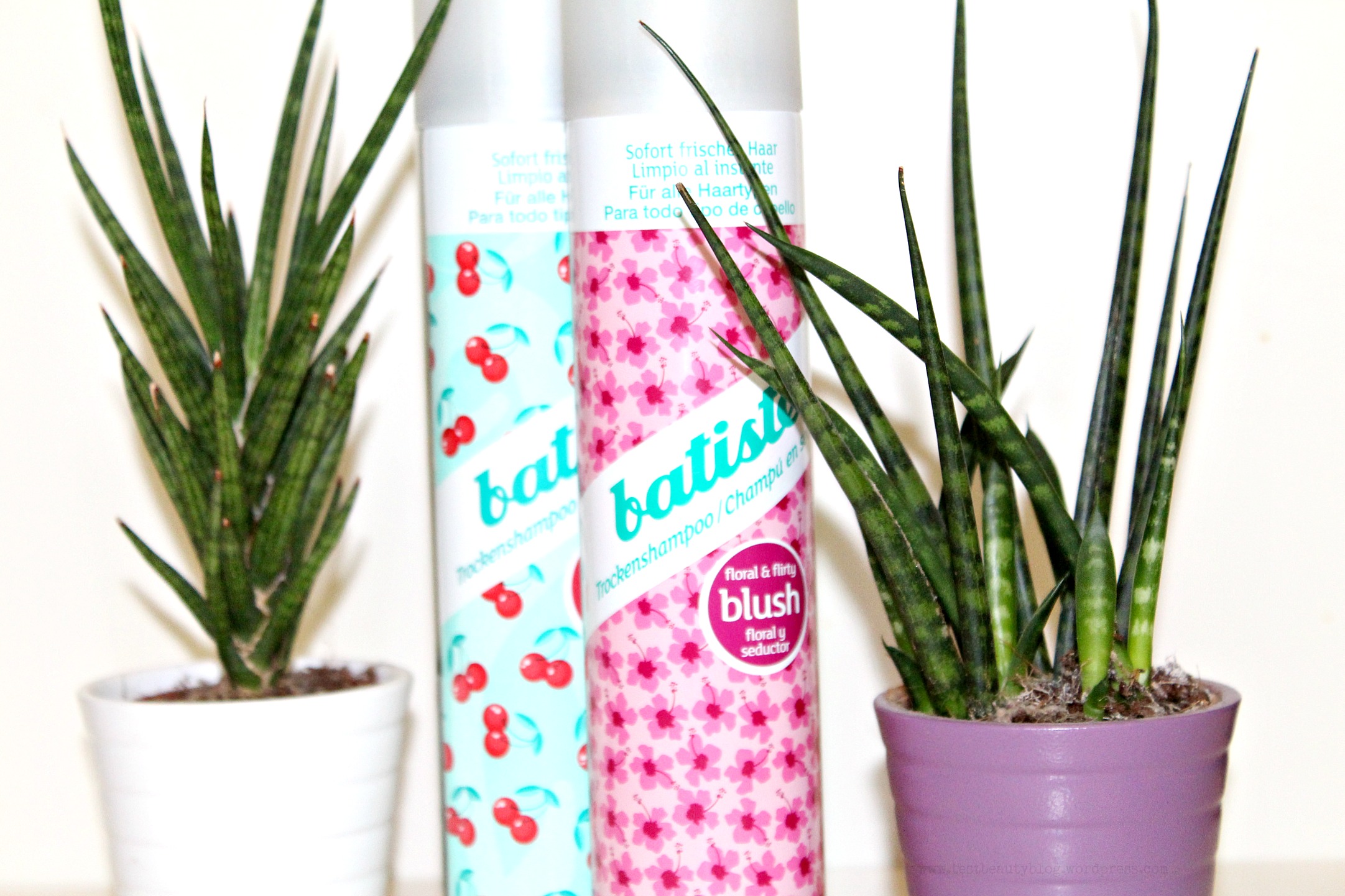 Batiste Trockenshampoo