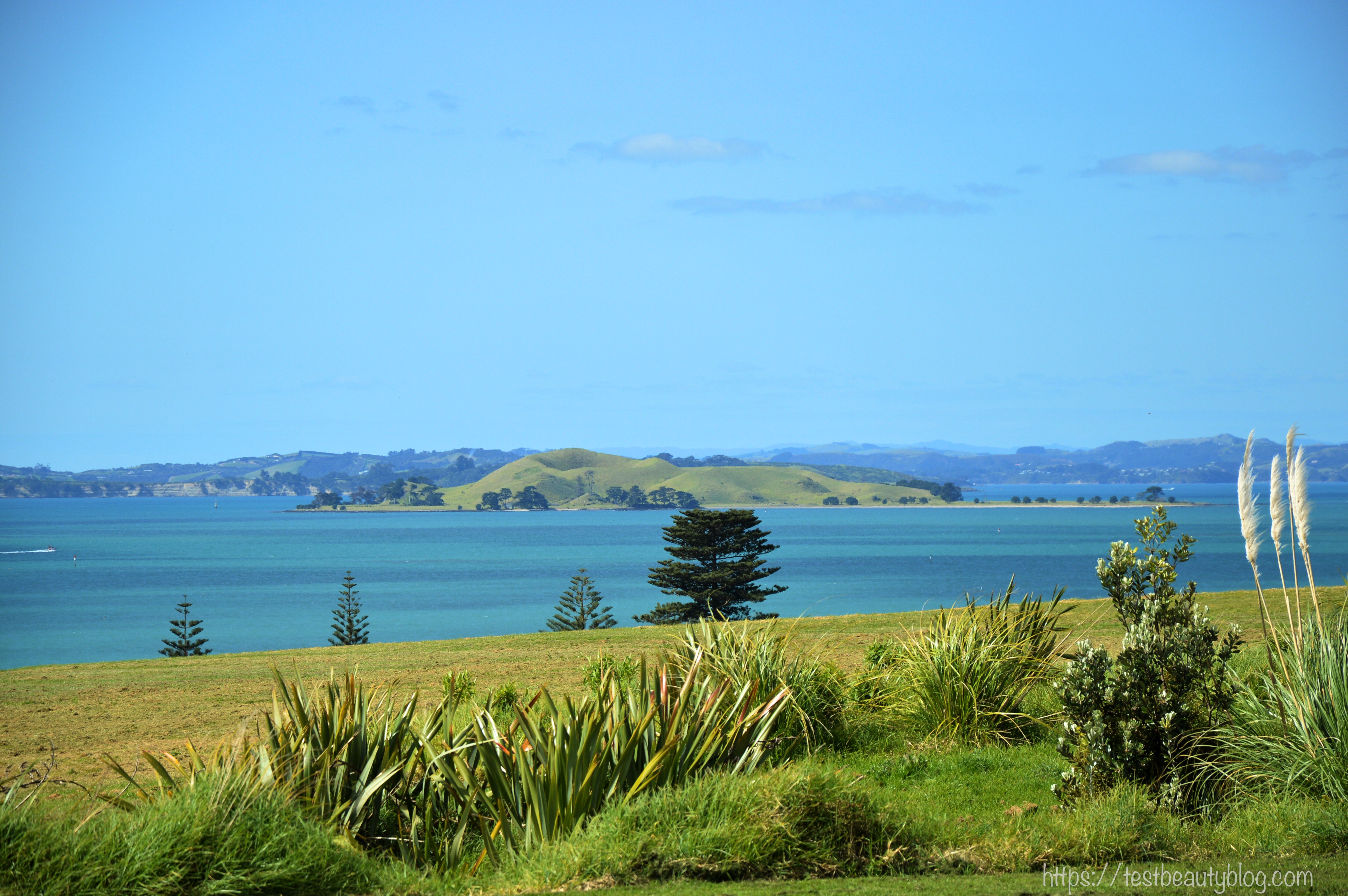 Neues aus Neuseeland