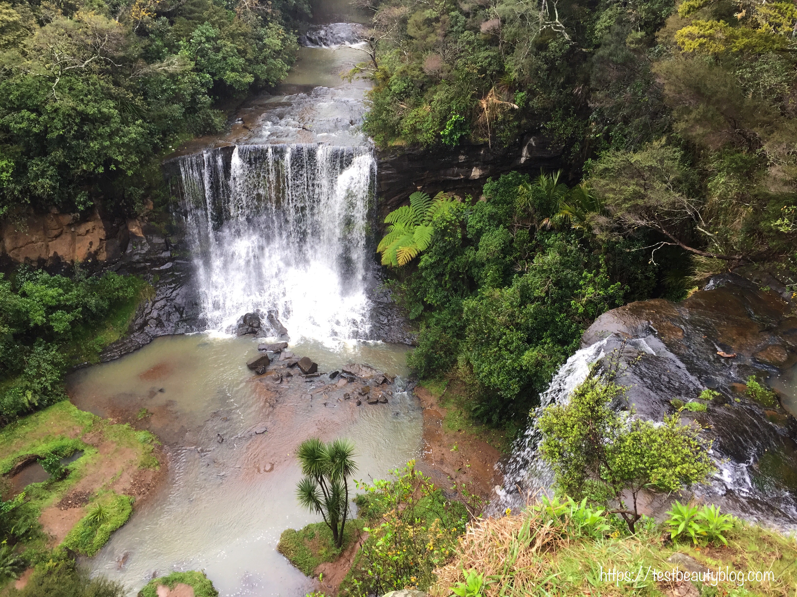 8 Orte die man in Auckland (NZ) sehen sollte
